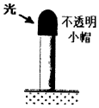 图片_x0020_100003