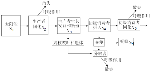 图片_x0020_100011