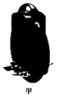 图片_x0020_17