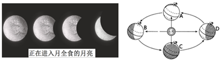 图片_x0020_100007