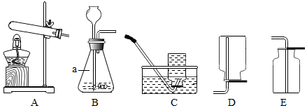 图片_x0020_1775381398