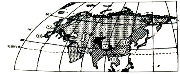 图片_x0020_181012402