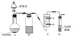 图片_x0020_1264928135