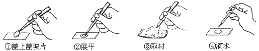 图片_x0020_7