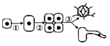 图片_x0020_1420324033