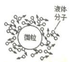 图片_x0020_100006