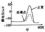 图片_x0020_1491285887