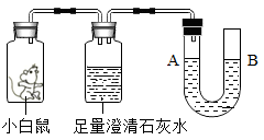 图片_x0020_1268255851