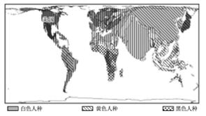 图片_x0020_100006