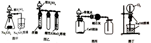 图片_x0020_100021