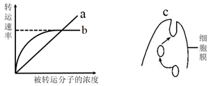 图片_x0020_100001