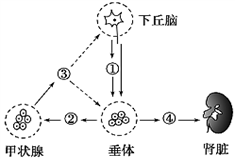 图片_x0020_1458053634