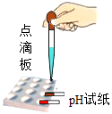 图片_x0020_100002