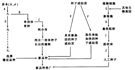 图片_x0020_1041142310