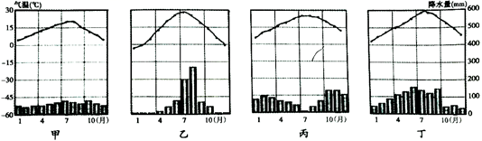 图片_x0020_100002