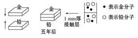 图片_x0020_100001