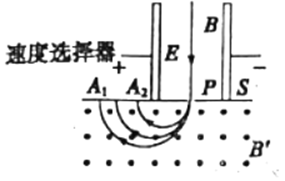 图片_x0020_100005