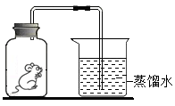 图片_x0020_1065681508
