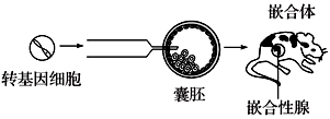 图片_x0020_100004