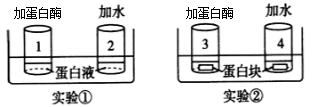 图片_x0020_100001