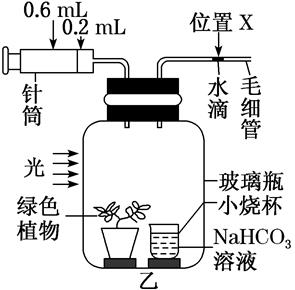 图片_x0020_100004