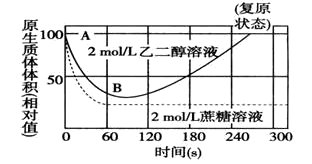 图片_x0020_100023