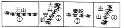 图片_x0020_5