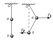 图片_x0020_1552731648