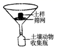 图片_x0020_100012