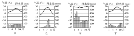 图片_x0020_100003