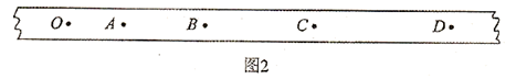图片_x0020_100012