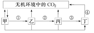 图片_x0020_2134411698