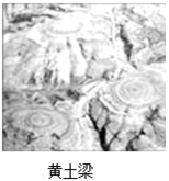 图片_x0020_100009