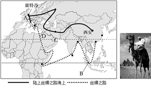 图片_x0020_100007