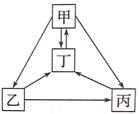 图片_x0020_1581174613