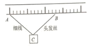 图片_x0020_445156238