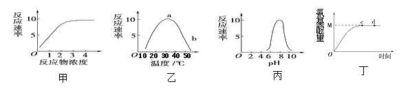 图片_x0020_145386263