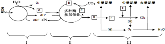 图片_x0020_2131877207