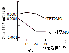 图片_x0020_789493712