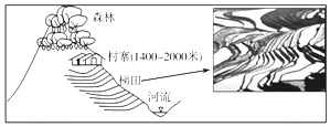 图片_x0020_9