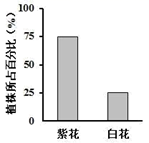 图片_x0020_100008
