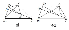 图片_x0020_100029
