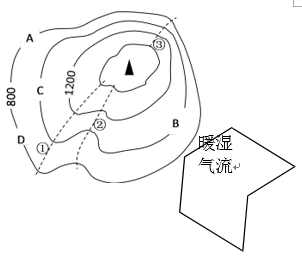 图片_x0020_100004