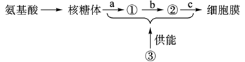 图片_x0020_100007