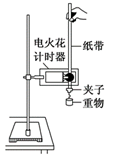 图片_x0020_100008
