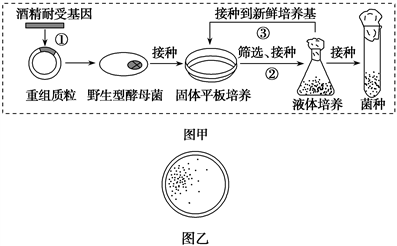 图片_x0020_337409987