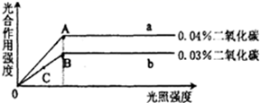 图片_x0020_1379520421