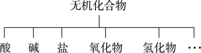 图片_x0020_100010