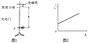 图片_x0020_1800674390
