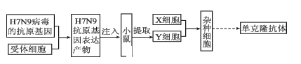 图片_x0020_168676738